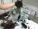 received_217603208574610.jpg