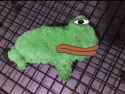 tenderpepe.jpg