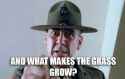 What-makes-the-grass-grow.png