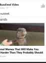 wp_ss_20161129_0001.png