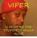 viper-u-must-be-the-stupidest-nigga-alive-3328202.png