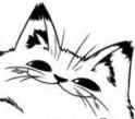 Pomf cat.jpg