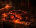 dragon_dream_by_12_tf-d73ti20.jpg
