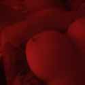 received_10153471933880155.jpg