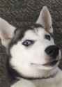 ^17599E900D60905EE5182357B38798935DC04FCE8056B04B7A^pimgpsh_thumbnail_win_distr.jpg