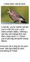 FB_IMG_1480377266057.jpg