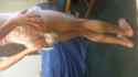 20130502191057822.jpg