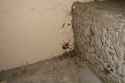 2002_09_19_02_08_16_Big_ass_spider.sized.jpg