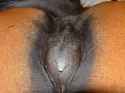 cumonpussy.jpg