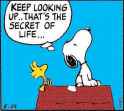Keep-Looking-Up.jpg