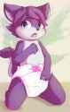 1354263713.ruugiaruu_skylar_diaper.png