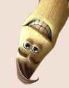banana head.png