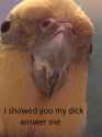 FB_IMG_1480526924688.jpg