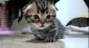 1405812133974.gif