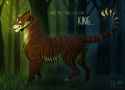 1421881034.studiofruke_tigerstar_remake.png
