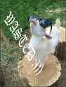 WASTED;)))-GOAT.png