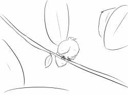 Ranzick.png