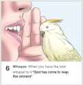 1478207700930.jpg