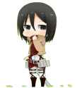 Mikasa Ackerman (04).jpg