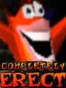 CompletelyErect.jpg