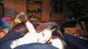 received_10202923430885636.jpg