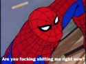 SPIDERREALLYNIGGA.png