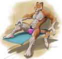 Sampson-Woof-Tease.jpg