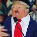 turmp.png