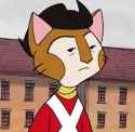 catguard-stare.jpg