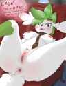 Shaymin30.png