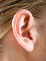 54f5ff5cd9bed_-_01-woman-closeup-ear-lgn.jpg