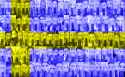 Swedish flag.jpg