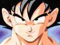 goku1.jpg