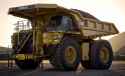 Cat-789D.jpg