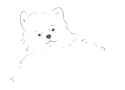 bear.png