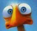 weird chicken.jpg