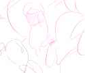 pinis.png
