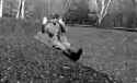 hitler zip wire.gif