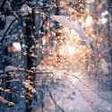 Comfy Snow gifs.gif