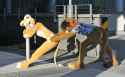 010_sofia_lioness_at_ef16_by_basil_lion-d2yuif5.jpg