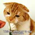 IMG_2001.jpg