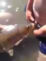 fishdicks.jpg