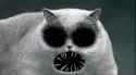 Creepo-cat-2.jpg