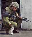 Military_cat_5.jpg