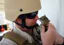 soldier and kitten.jpg