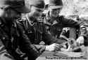 hist-nazi-with-kitten05.jpg