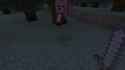 WiiU_screenshot_TV_01D9D.jpg