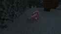 WiiU_screenshot_TV_01D9D.jpg