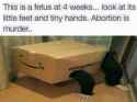 Abortion is murder.jpg