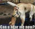 can you hear me now.jpg
